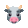 cow_face